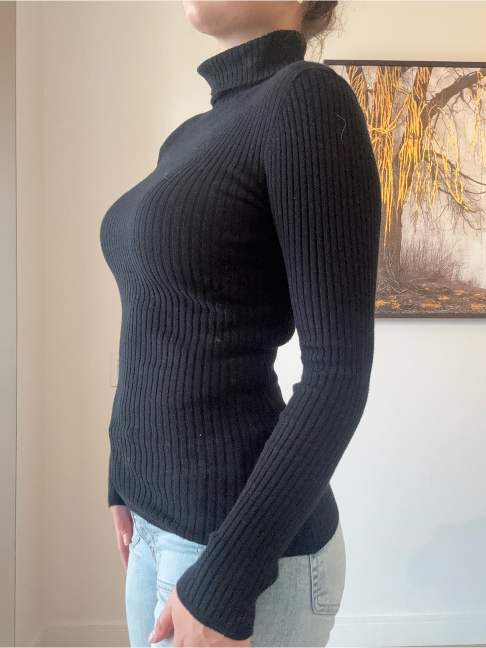 Eclipse Black Ribbed Turtleneck Sweater